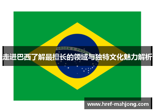 走进巴西了解最擅长的领域与独特文化魅力解析