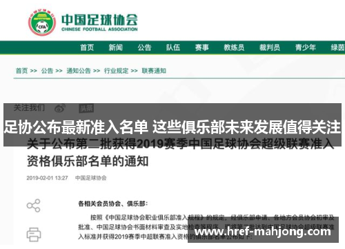足协公布最新准入名单 这些俱乐部未来发展值得关注