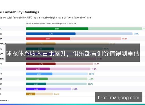 球探体系收入占比攀升，俱乐部青训价值得到重估