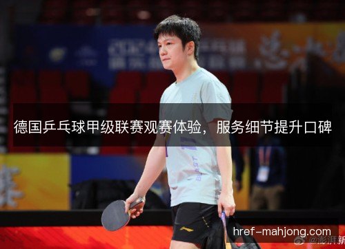 德国乒乓球甲级联赛观赛体验,服务细节提升口碑 德国乒乓球甲级联赛观赛体验,服务细节提升口碑